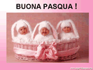 Pps Pasqua